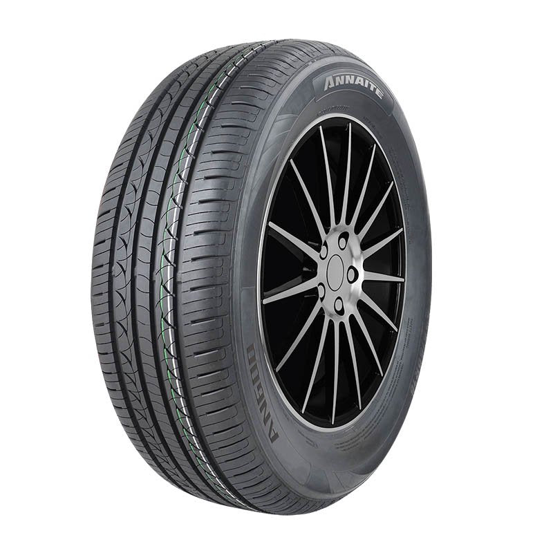NEUM ANNAITE 205/55R16 AN600 (4PR 91V) CN